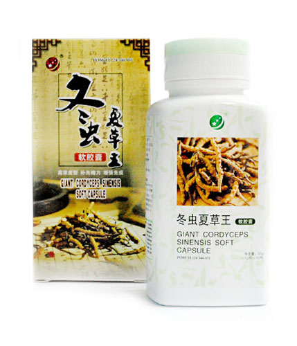 Biyuan Giant Cordyceps Sinensis 100 Kapsul