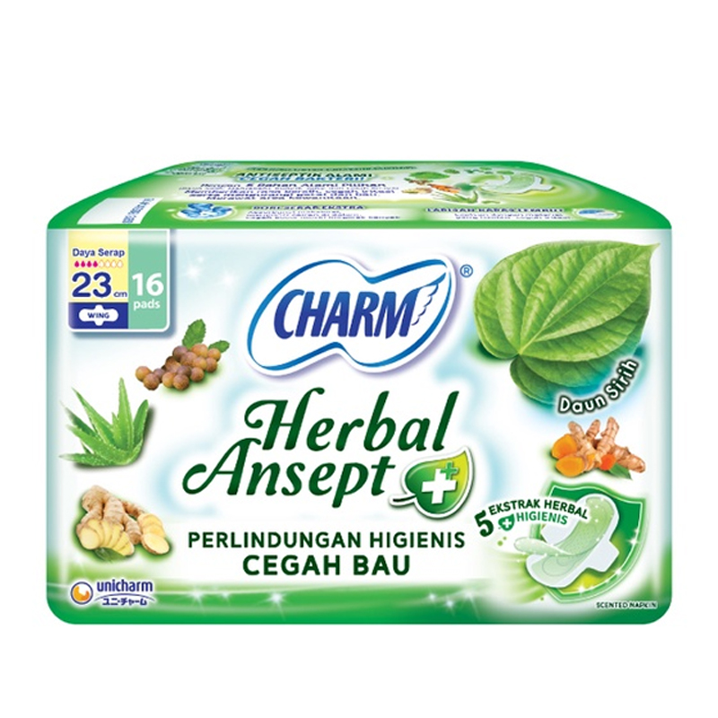 Charm Herbal Ansept Wing 23cm 16pcs | Gogobli