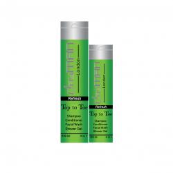 Dayman Top to Toe Refresh 230ml