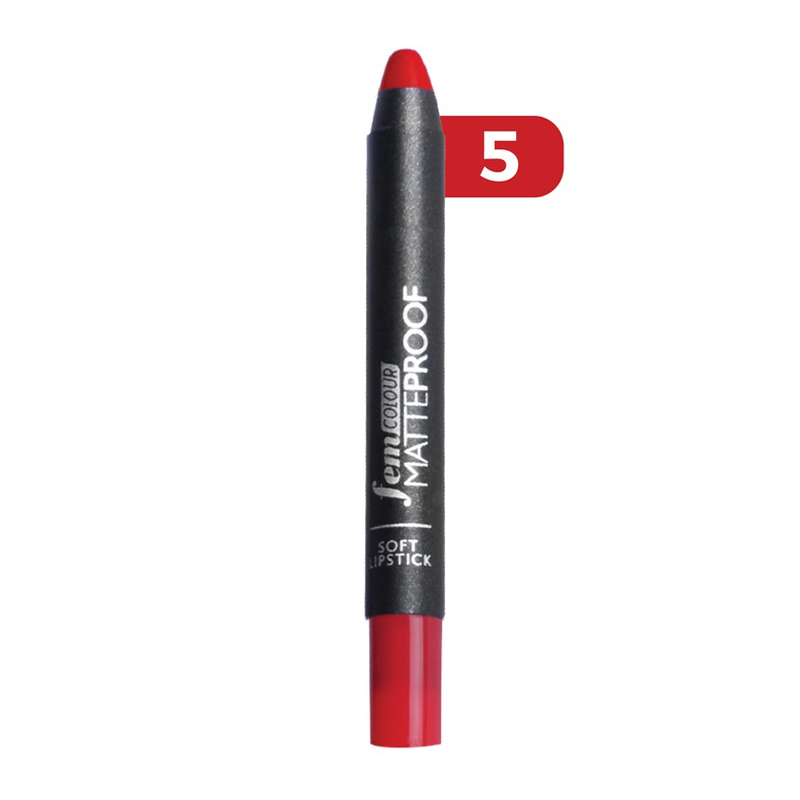 Fem Lip Colour Pencil Matteproof No.05 5gr | Gogobli
