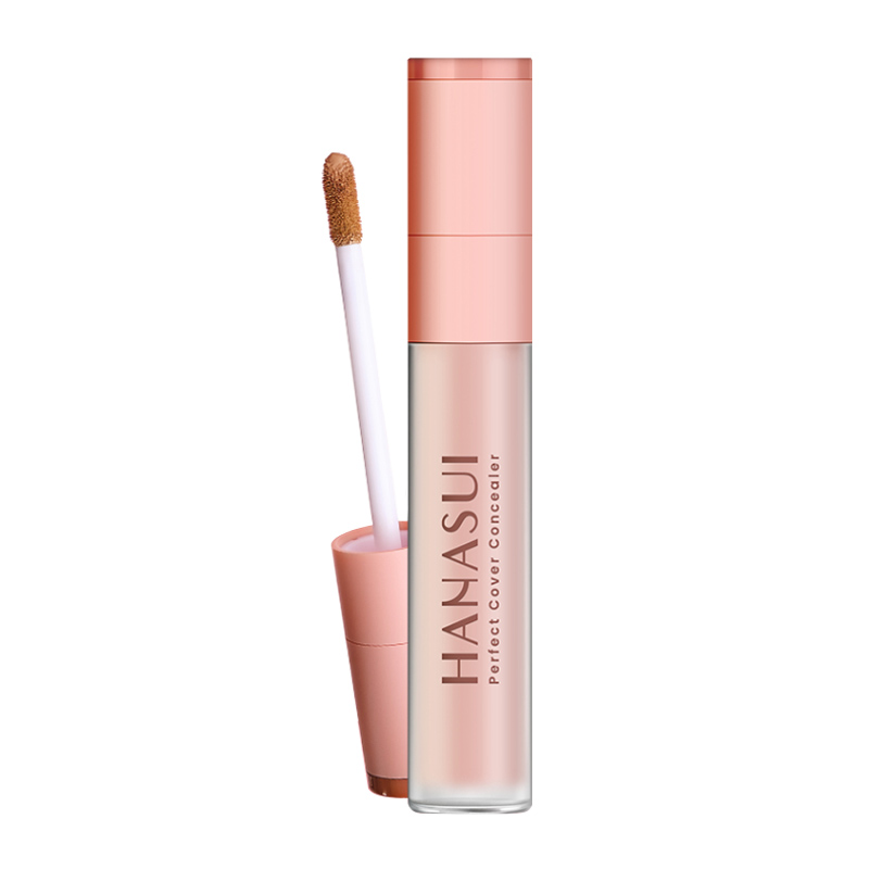 Hanasui Perfect Cover Concealer 01.Fair 4.5gr | Gogobli