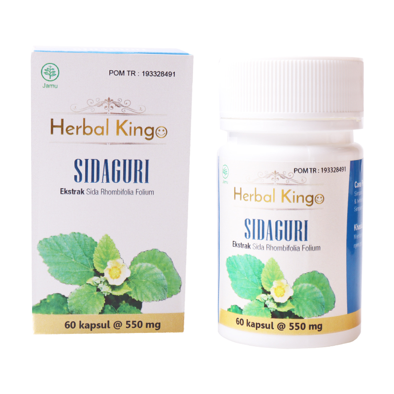 Herbal Kingo Sidaguri 60 Kapsul @550mg | Gogobli