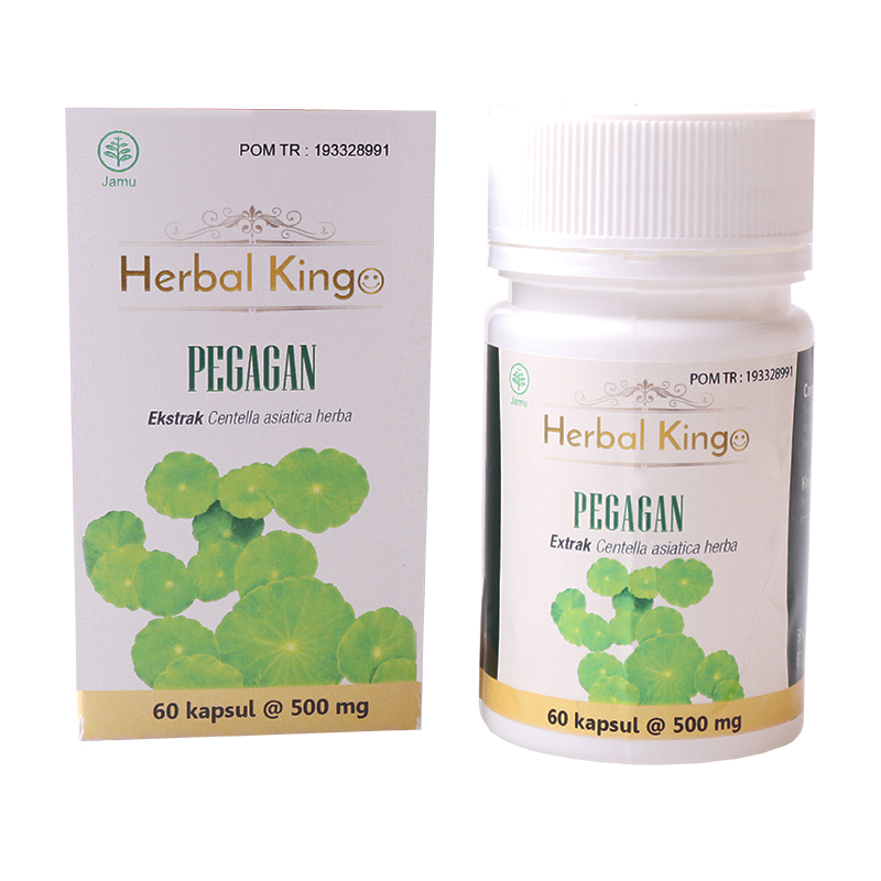 Herbal Kingo Pegagan 60 Kapsul @500mg | Gogobli