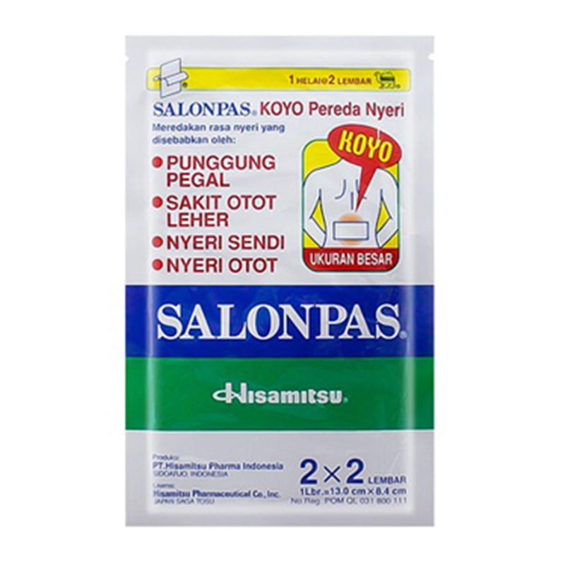 Hisamitsu Salonpas Large 2x2s | Gogobli