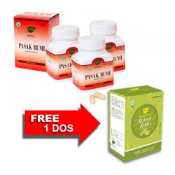Jamu IBOE Pasak Bumi 30 kapsul 3 Pcs FREE Kunyit Asam