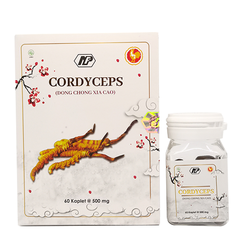Cordyceps (Dong Chong Xia Cao) 60 Kaplet | Gogobli