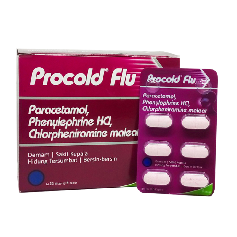 Procold Flu Box (24 Blister @ 6 Kaplet) (ED: Nov 25) | Gogobli