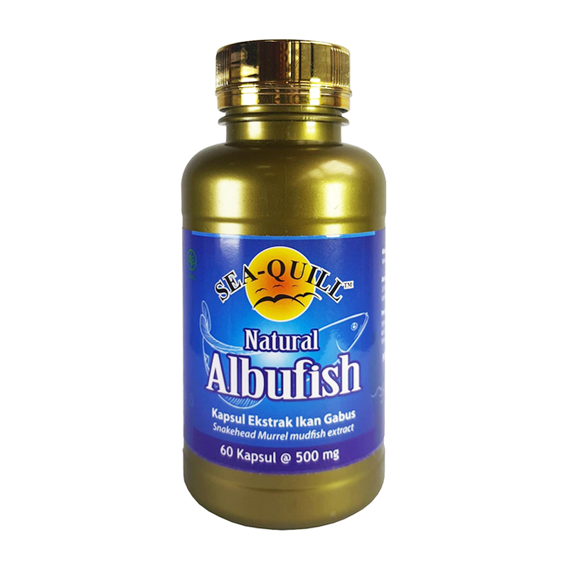 Sea-Quill Natural Albufish 60 Kapsul | Gogobli