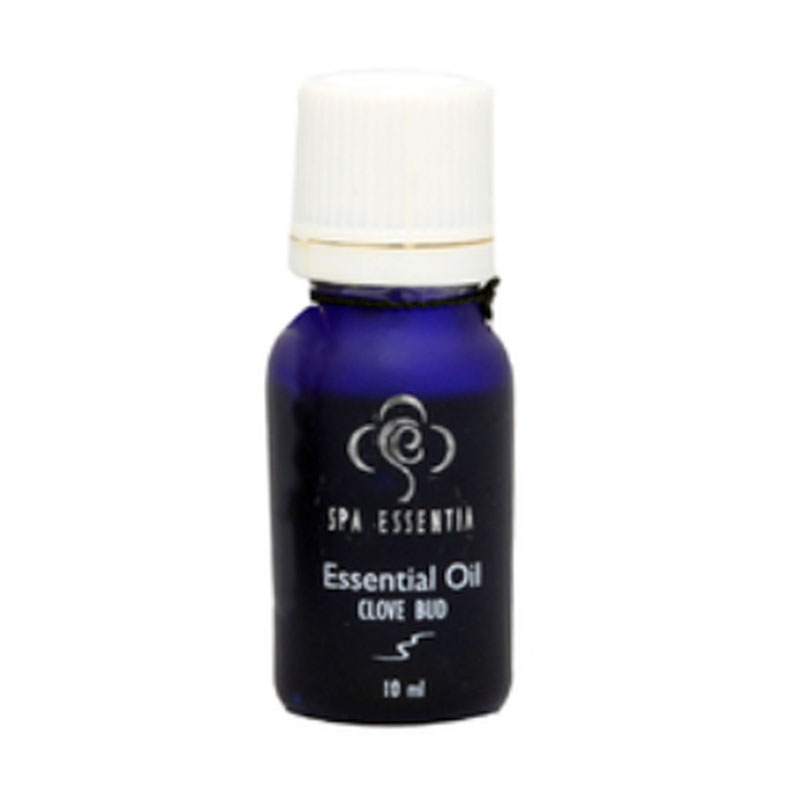 Spa Essentia EO Basil 10ml