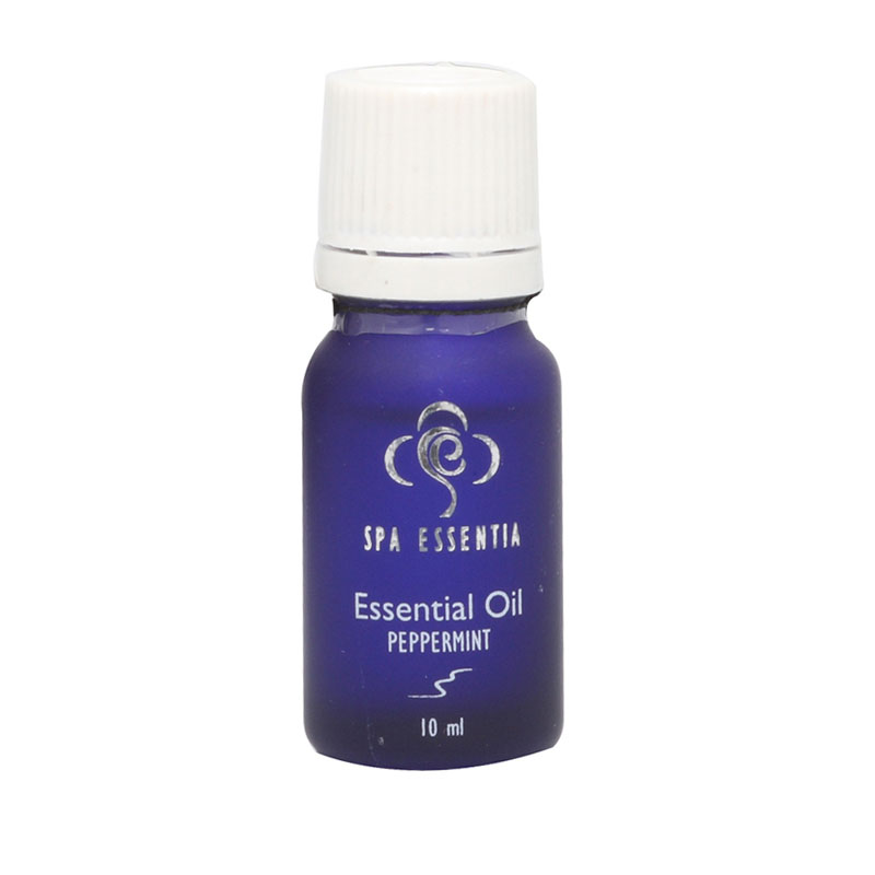 Spa Essentia EO Basil 10ml