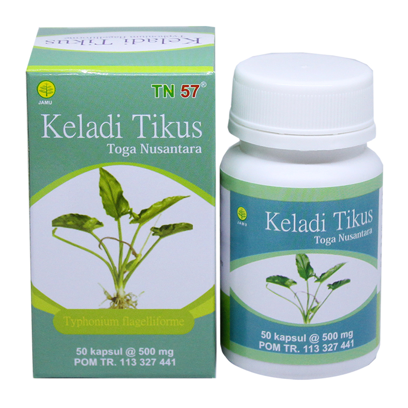 Toga Keladi Tikus 50 Kapsul | Gogobli