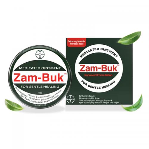 Zam-Buk Medicated Ointment 8gr (ED: Oct 27) | Gogobli